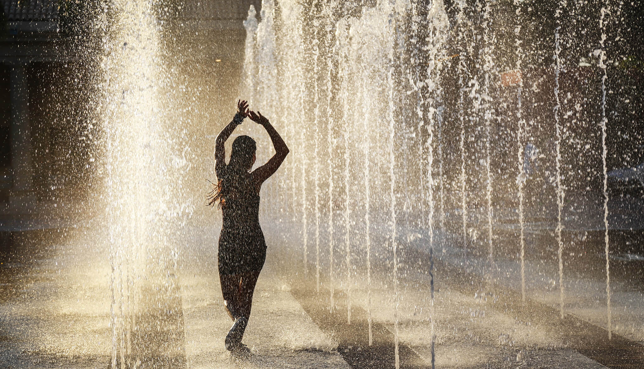 Launching Longevity: Funding the Fountain of Youth